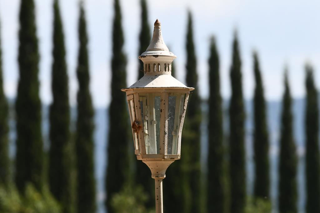 La Tana Del Bianconiglio Villa Castiglione d'Orcia Exterior photo